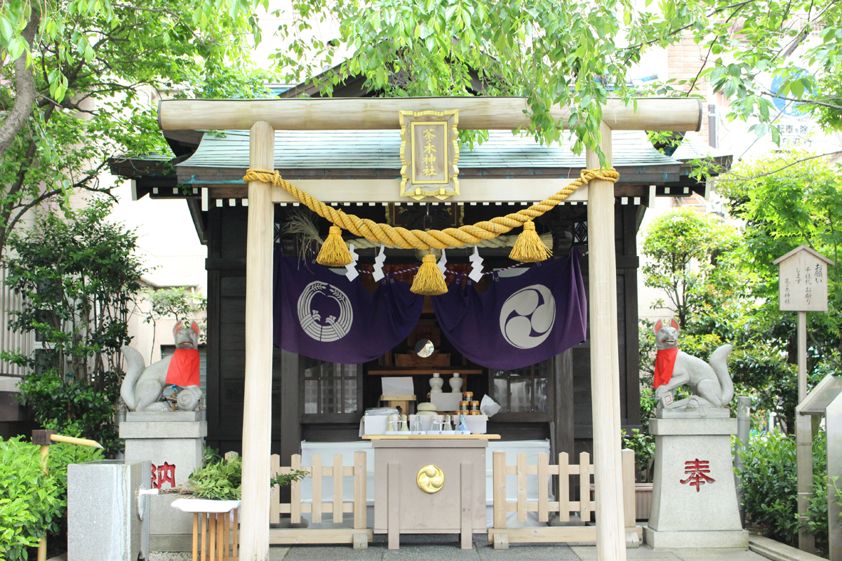 「茶ノ木神社」の献茶式