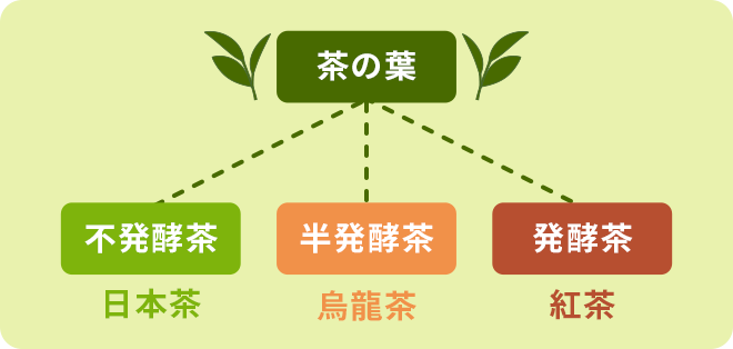 茶葉の分類