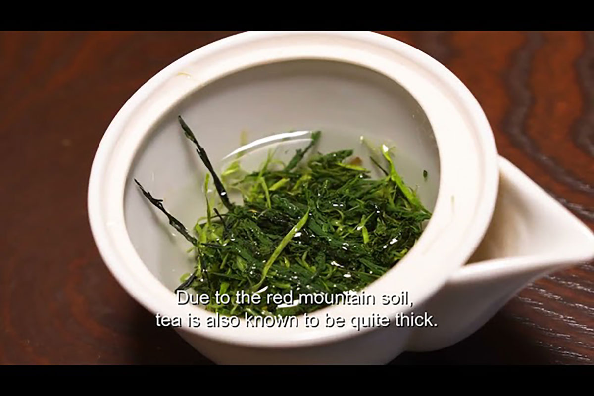 日本各地のお茶産地から、お茶ができるまでの様子をお届け！