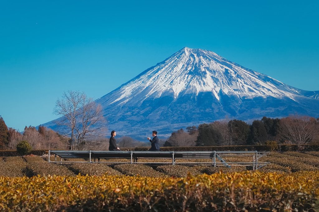 富士山の麓から世界へ。「富士山抹茶」が描く、お茶と地域の未来地図
